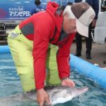 【新潟市】信濃川を遡上してきた鮭？…ではなく、まさかのチョウザメ捕獲！「県内の川で珍しい」天然魚か？