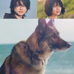 【知識】四本足歩行する動物は安産　二足歩行すると出産はより困難に