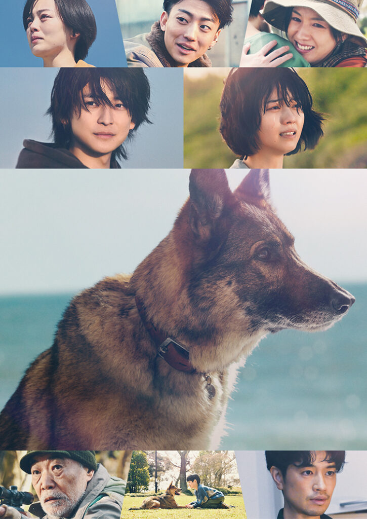 【知識】四本足歩行する動物は安産　二足歩行すると出産はより困難に