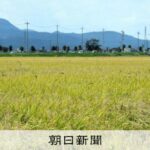 石破「政府備蓄米を放出してコメの市場価格を下げる！」　←これ無理あったよな