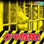【秋田】八郎潟町の自動車学校にクマ