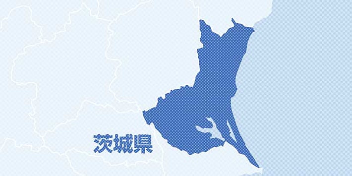 【茨城県】給食のあえ物とスープにカメムシとアブラムシ混入、つくばの小中４校　洗浄したが取り除けず