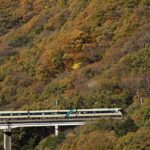 紅葉と山間走る列車の共演　日光・野岩鉄道沿線で見頃　カエデやイチョウ、ピークは今週末まで