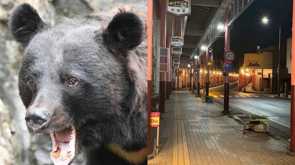 【クマ大不況】スナックで飲んで扉を開けたらクマ！秋田の夜の街で客が激減「常連客がまったく来店しなくなった」「飲みに行ってクマにやられたって言いふらされたくない」