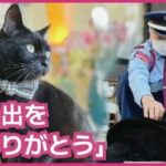 「これ以上、入られんよ」　尾道市立美術館の入口で優しい攻防　ネコのケンちゃん天国へ　警備員さん「たくさんの思い出をありがとう」