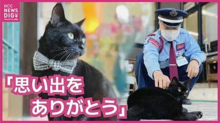 「これ以上、入られんよ」　尾道市立美術館の入口で優しい攻防　ネコのケンちゃん天国へ　警備員さん「たくさんの思い出をありがとう」