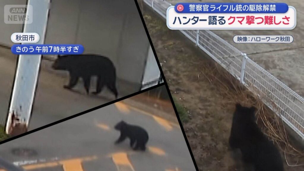 【´･(ｪ)･｀】ハローワーク秋田にクマ