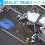 トラック運転手「オーディオ操作していた」