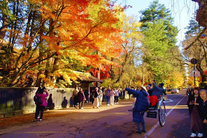 【（・(ｪ)・）】クマ出没で観光や飲食に深刻な打撃、フランス料理店「売り上げ半減した」…年末迫り「いつまで続くのか」