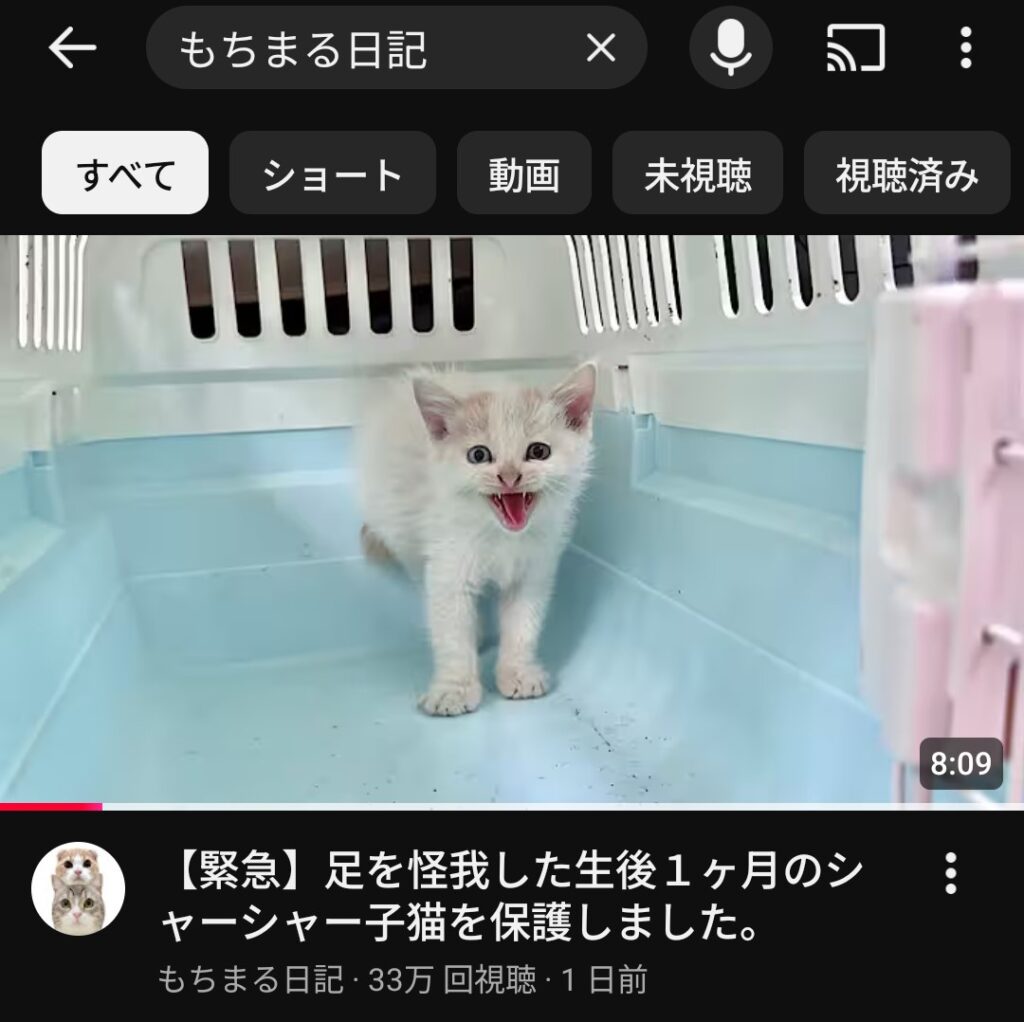 【悲報】もちまる日記、足をケガした生後１か月の子猫を保護
