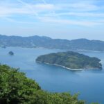 【静かなる侵略】住民7人の離島に突如51本の電柱、岩国基地そばで進む中国資本の土地買収に住民がとった対抗策とは