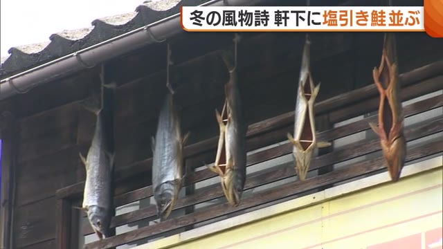 【新潟】寒風でうまみ増す！軒下に“塩引き鮭”ズラリ 近年不漁も…伝統継承へ中学生もお手伝い「大人になっても続いてほしい」新潟・村上市
