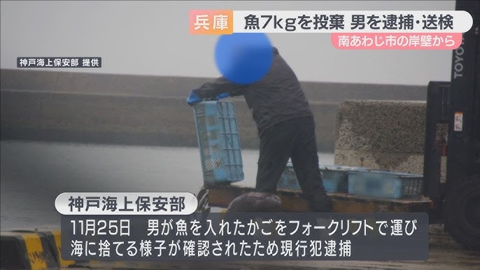 【兵庫】アジなど死んだ魚約７キロを海に捨てた疑い　漁師アルバイトの７７歳男を逮捕・送検　南あわじ市の岸壁から
