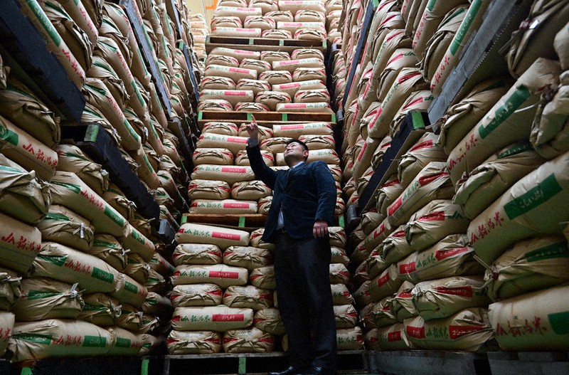 【コメ】事実上の減反政策を法定化へ　農水省方針　「需要に応じた生産」推進