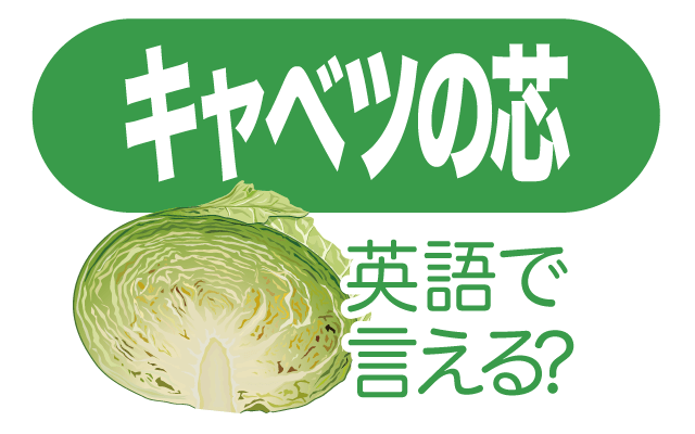 キャベツの芯は捨てないで！