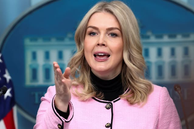 トランプ米大統領の選挙不要発言、レビット米報道官「ただの冗談で、ふざけて言ったもの」と火消し