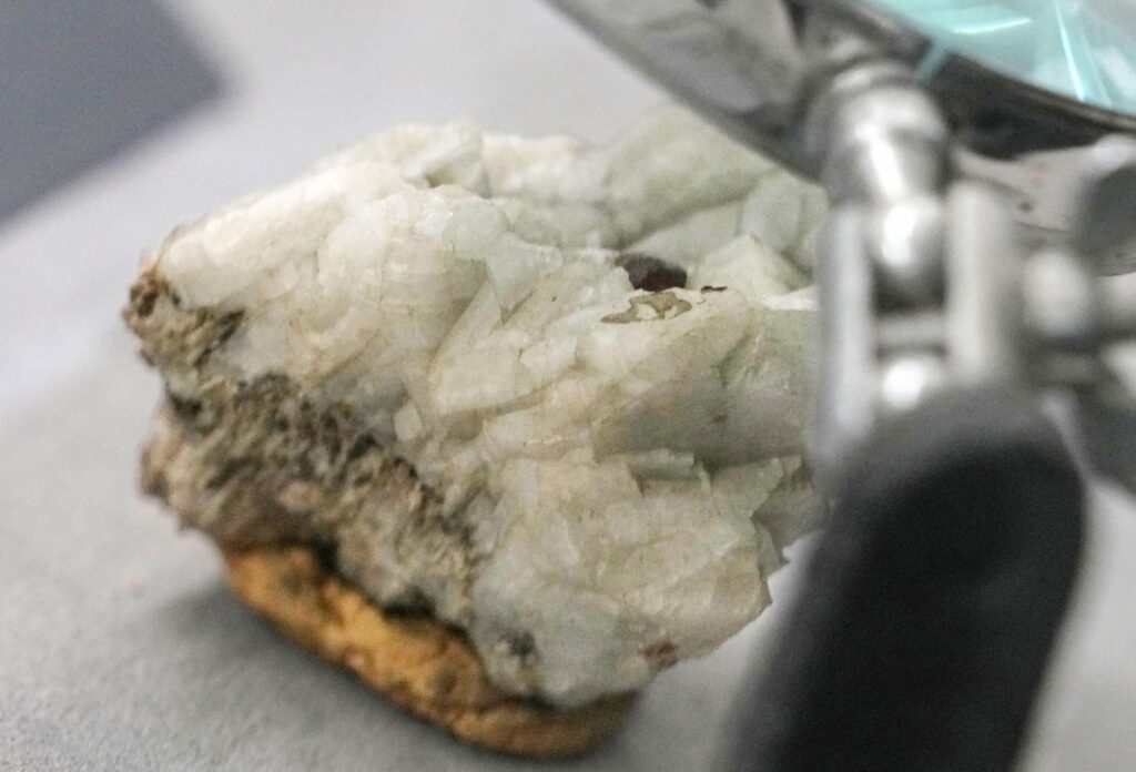 【朗報】　レアアース、群馬にありました