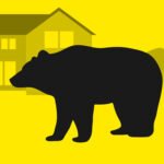 【トライアスロン】クマ出没時の対応方針を整備　主催者判断を明確化