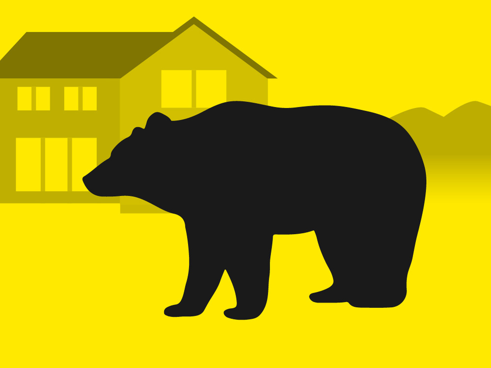 【トライアスロン】クマ出没時の対応方針を整備　主催者判断を明確化