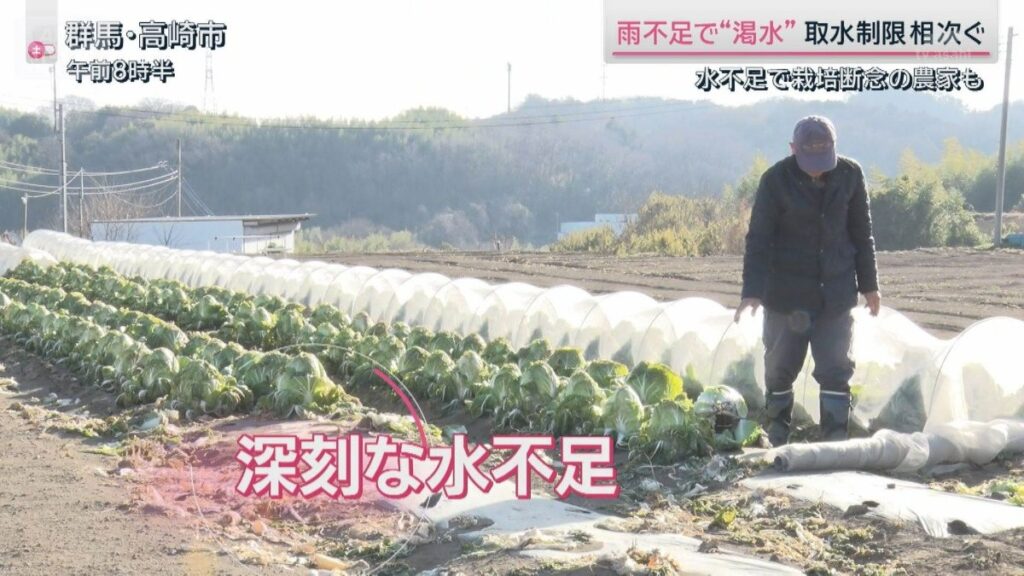 各地で「取水制限」水不足で栽培を断念した農家も 渇水の影響広がる