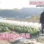 各地で「取水制限」水不足で栽培を断念した農家も 渇水の影響広がる