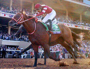 【競馬】フォーエバーヤングが米最優秀ダート古牡馬に選出！　エクリプス賞