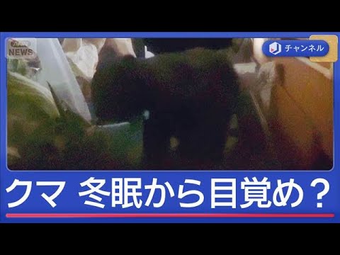 【（・(ｪ)・）】冬眠から目覚め？住宅にクマ出没　“想定外”の一部始終