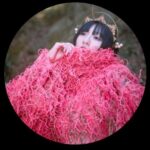 人気女性ミュージシャン、「民意ガン無視」衆院解散を痛烈批判へ