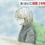 85歳ドライバー“踏み間違え”で横断歩道に突入　鹿児島の死亡事故に 禁固3年 執行猶予5年