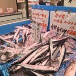 【魚】「高くなりましたね」豊漁だったサンマが高騰　冷凍物に変更する飲食店も　9月下旬から水揚げ低調…サイズも小ぶりに