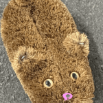 可愛いたわしを散歩させている男性に遭遇投稿に「東京ってすごい…」「私も出会ったことあります」