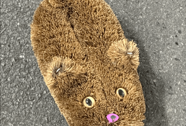 可愛いたわしを散歩させている男性に遭遇投稿に「東京ってすごい…」「私も出会ったことあります」