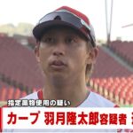 【野球】広島東洋カープの選手を指定薬物(ゾンビたばこ)使用の容疑で逮捕