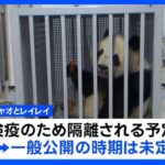 【双子パンダ】「シャオシャオ」「レイレイ」 中国に到着　検疫のため隔離へ　一般公開の時期は未定