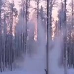 【スプートニク】米国やカナダで大寒波、木々が次々と「自然爆破」