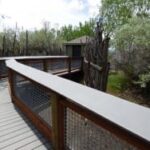 斉藤鉄夫氏「旧立憲から議員数を吸い取った上で自民と連立を組むこともあるかもしれない」