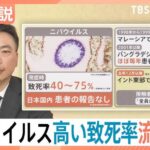 【ニパウイルス】高い致死率　アジア各国で流行の懸念　ワクチン・特効薬なし…日本への流入リスクは？