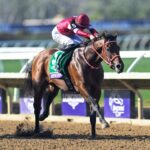 今週末は「フォーエバーヤング ブリーダーズカップクラシック優勝記念 根岸ステークス」 ポストカードやレーシングプログラムの配布も