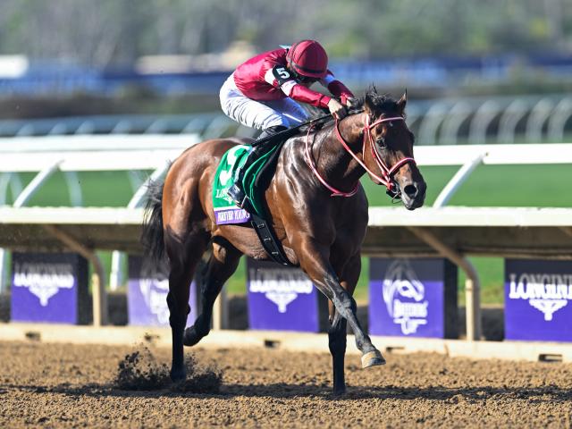 今週末は「フォーエバーヤング ブリーダーズカップクラシック優勝記念 根岸ステークス」 ポストカードやレーシングプログラムの配布も