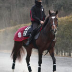 【競馬】世界最大の競馬組織 “クールモア” がついに日本進出　フランケル産駒３歳牡馬が中内田厩舎に入厩