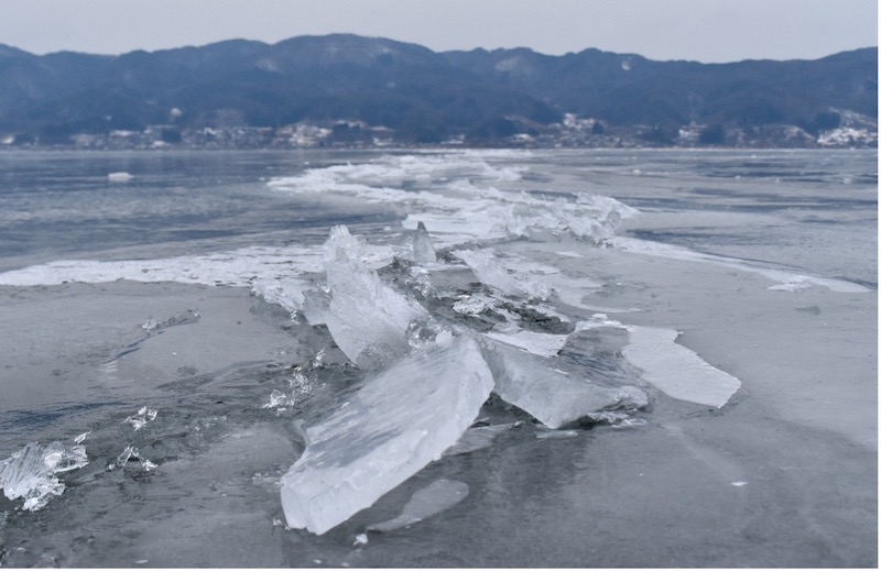 諏訪湖「温暖化がー」