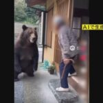 【生成AI】「さっさと山へお帰り!」 再生回数100万超も…クマの“フェイク動画”に専門家警鐘 「非常に罪深い」 冬眠始める12月頃までは注意を
