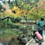 AI判定は「シイタケ」食べたら毒キノコ、和歌山市の70代男性が食中毒に