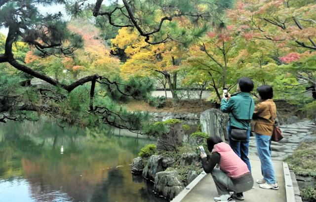 AI判定は「シイタケ」食べたら毒キノコ、和歌山市の70代男性が食中毒に