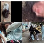 会,津の中学校でやばい集団イジメ　女子中学生を殴る蹴るスマホ破壊など｡