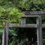 【ビザを取得でき、税制優遇まで受けられる】日本の歴史ある寺社が中国人の｢BBQ会場｣にされている…跡継ぎなき宗教法人を狙う外国人の｢本当の目的｣