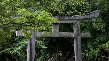 【ビザを取得でき、税制優遇まで受けられる】日本の歴史ある寺社が中国人の｢BBQ会場｣にされている…跡継ぎなき宗教法人を狙う外国人の｢本当の目的｣