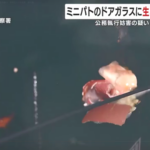 ミニパトカーのドアガラスに生卵を投げつけか　公務執行妨害の疑い　高校生2人を逮捕