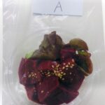 「裏メニュー」で牛の生レバーをズルっと提供していた疑い　飲食店経営の男を逮捕