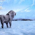 【科学】日本列島にはライオンがいた　数万年前、トラ化石説覆す　DNAなど分析